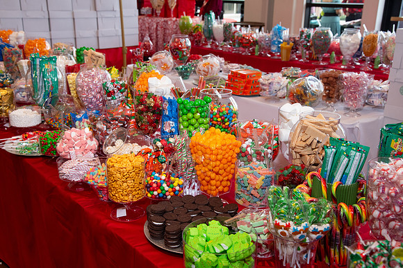 VE_2025_GINGERBREAD_PARY_1110
