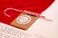HCC_2025_SANTA_PARTY_ACTIVITIES_003