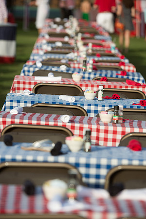 HCC_JULY_4TH_2015_006