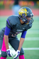 KIN_VARFB_ESD_SR_NIGHT_2014_020