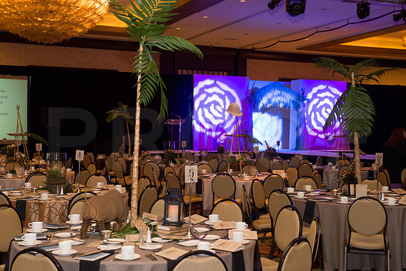 PI_BETA_PHI_2016_STYLE_SHOW_010