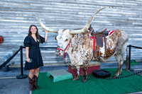 VE_2025_ARMADILLO_PALACE_007