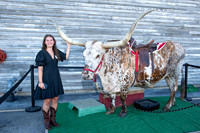 VE_2025_ARMADILLO_PALACE_006