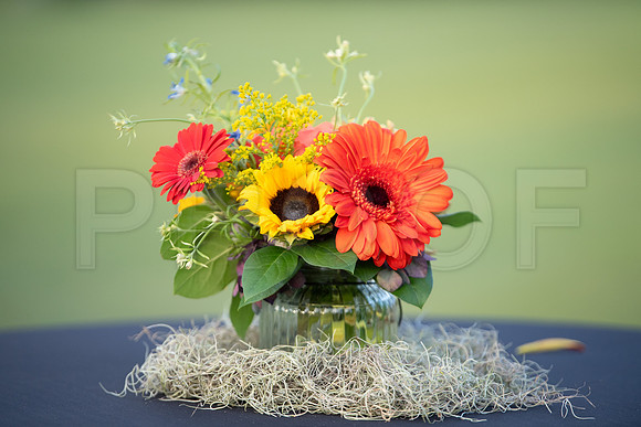 HCC_2023_BIRDSHOOTERS_BALL_007