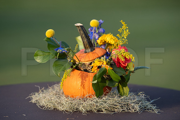 HCC_2023_BIRDSHOOTERS_BALL_008