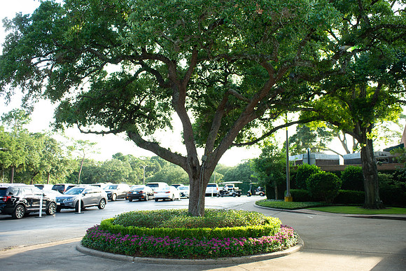 HCC_JULY_4TH_2019_284