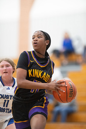 KIN_GVARBB_VS_HCHS_022
