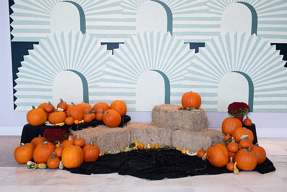 V_E_2024_HALLOWEEN_BASH_002