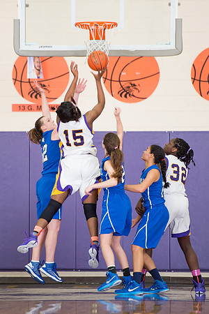 KIN_GVARBB_EHS_70