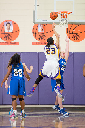 KIN_GVARBB_EHS_77