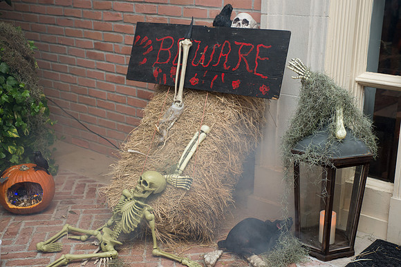 HCC_HALLOWEEN_2015_007