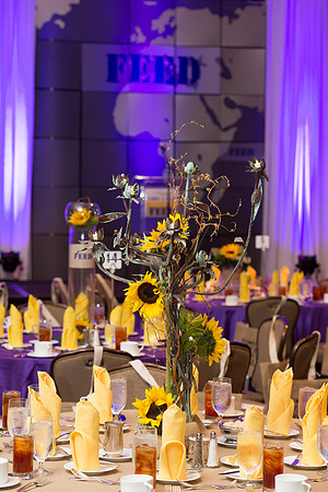 KIN_ALUMNI_FRIENDS_LUNCHEON_2015_006