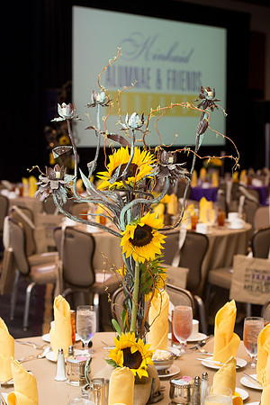 KIN_ALUMNI_FRIENDS_LUNCHEON_2015_005