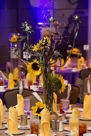 KIN_ALUMNI_FRIENDS_LUNCHEON_2015_007