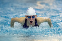 KIN_SWIM_SJS_INV_008