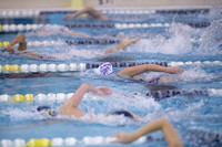 KIN_SWIM_SJS_INV_011