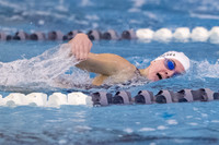 KIN_SWIM_SJS_INV_019