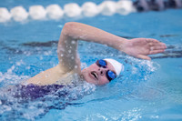 KIN_SWIM_SJS_INV_020