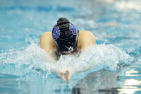 KIN_SWIM_SJS_INV_004