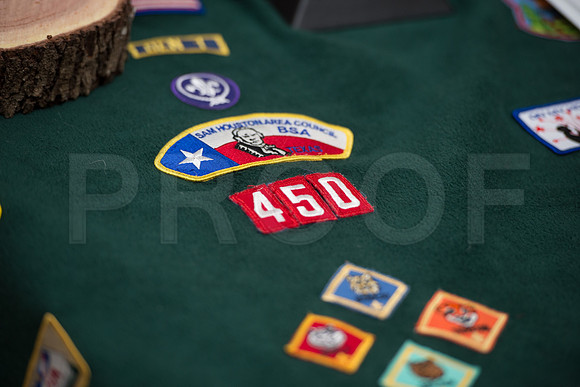 BS_TROOP_354_EAGLE_05142016_013