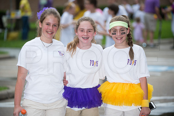 KIN_FIELD_DAY_2015_338