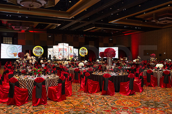 COVENANT_HOUSE_TEXAS_2015_GALA_010