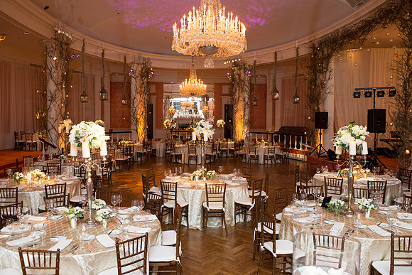 HCC_YELLOW_ROSE_BALL_2015_010