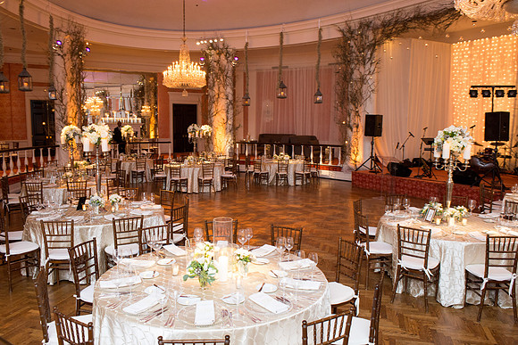 HCC_YELLOW_ROSE_BALL_2015_014