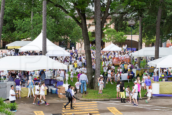 KIN_FIELD_DAY_2015_364