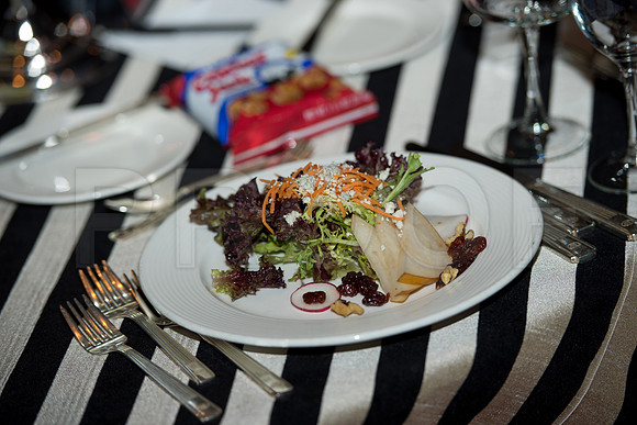 COVENANT_HOUSE_TEXAS_2015_GALA_015