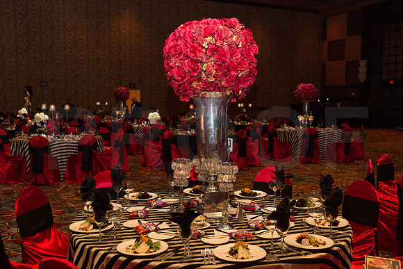 COVENANT_HOUSE_TEXAS_2015_GALA_007
