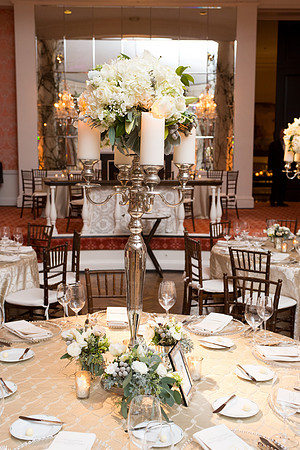 HCC_YELLOW_ROSE_BALL_2015_019