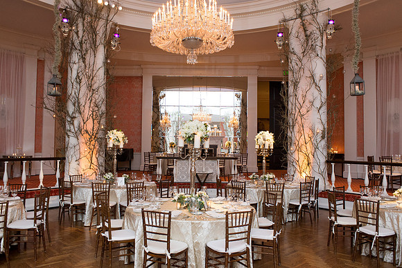 HCC_YELLOW_ROSE_BALL_2015_017