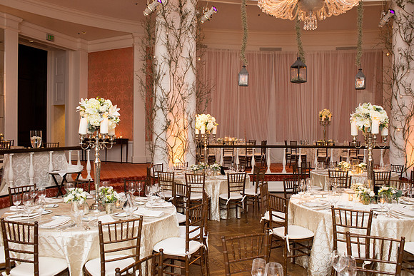 HCC_YELLOW_ROSE_BALL_2015_021