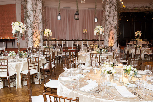 HCC_YELLOW_ROSE_BALL_2015_022