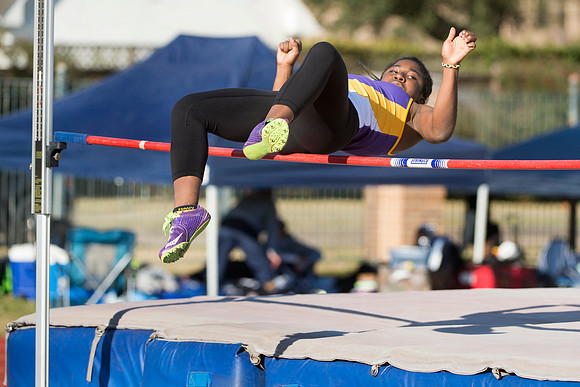 KIN_VAR_TRACK_EHS_14