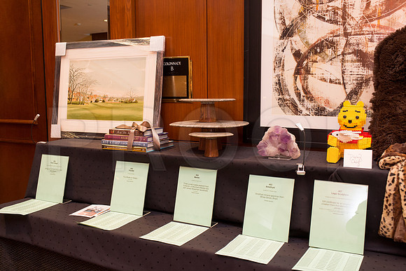 COVENANT_HOUSE_2017_GALA_007