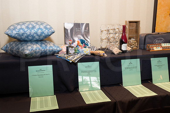 COVENANT_HOUSE_2017_GALA_005