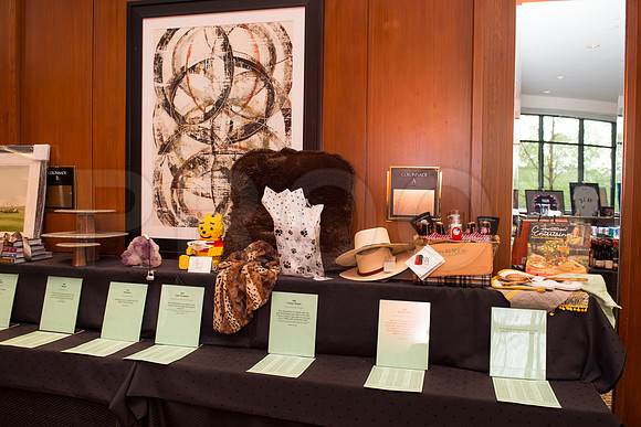 COVENANT_HOUSE_2017_GALA_006