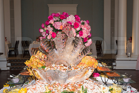 HCC_THANKSGIVING_2017_001
