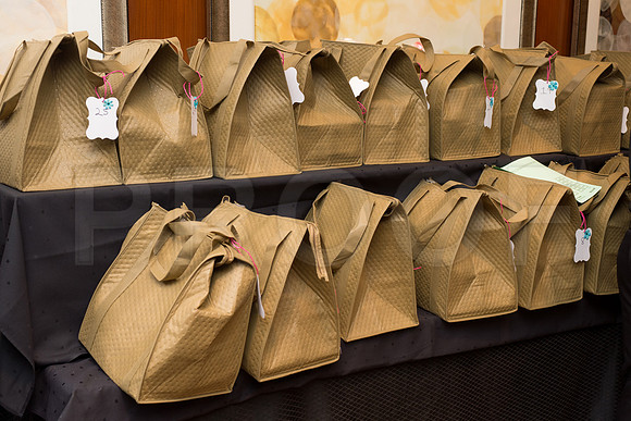 COVENANT_HOUSE_2017_GALA_021
