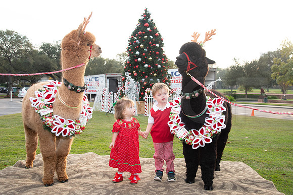 HCC_2022_SANTA_PARTY_ACTIVITIES_073