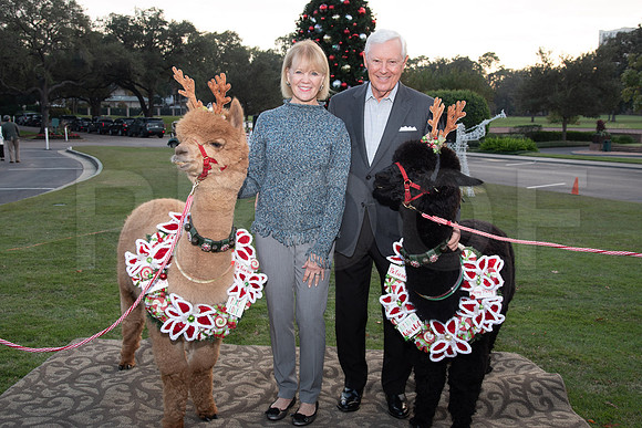 HCC_2022_SANTA_PARTY_ACTIVITIES_123
