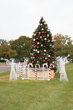 HCC_2022_SANTA_PARTY_ACTIVITIES_027