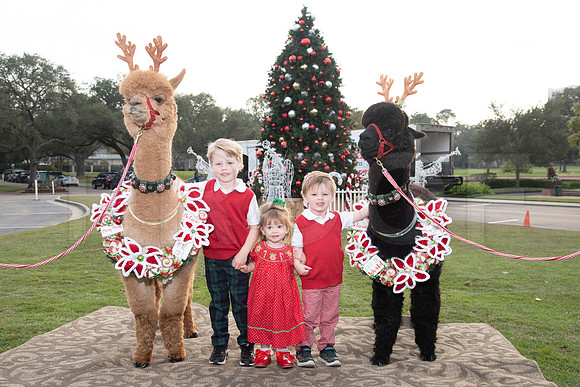 HCC_2022_SANTA_PARTY_ACTIVITIES_070