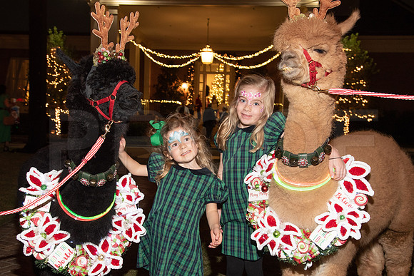 HCC_2022_SANTA_PARTY_ACTIVITIES_240