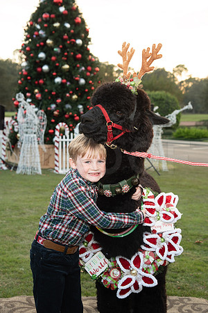 HCC_2022_SANTA_PARTY_ACTIVITIES_128