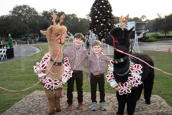 HCC_2022_SANTA_PARTY_ACTIVITIES_101