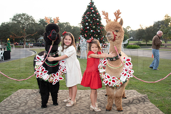 HCC_2022_SANTA_PARTY_ACTIVITIES_175
