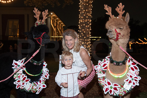 HCC_2022_SANTA_PARTY_ACTIVITIES_264